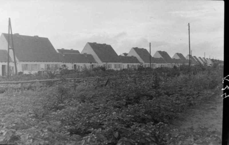 Siedlung Leegebruch bei Oranienburg, Gartenansicht